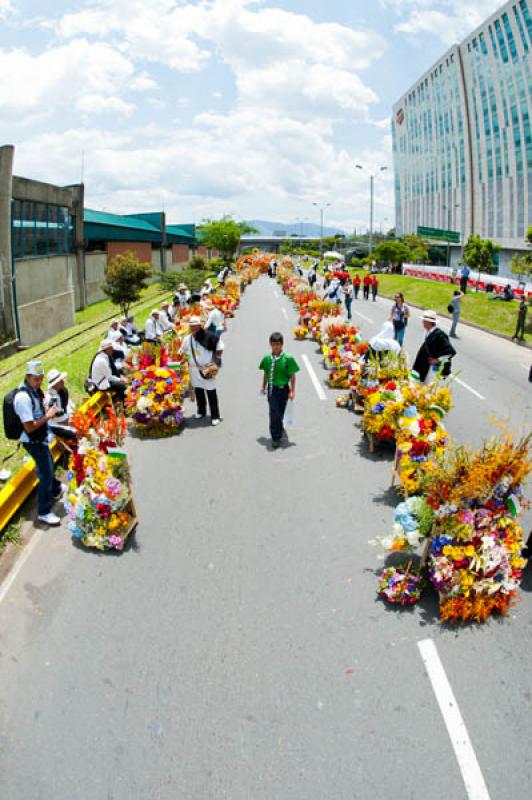 Desfile de Silleteros, Feria de las Flores, Medell...