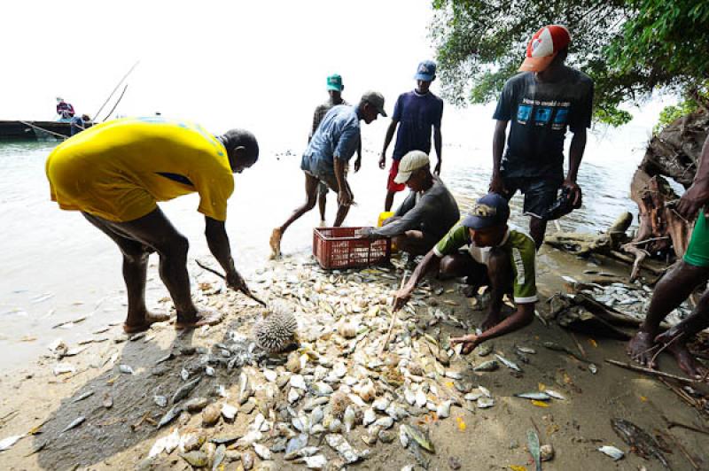 Pescadores en San Onofre, Sucre, Sincelejo, Colomb...