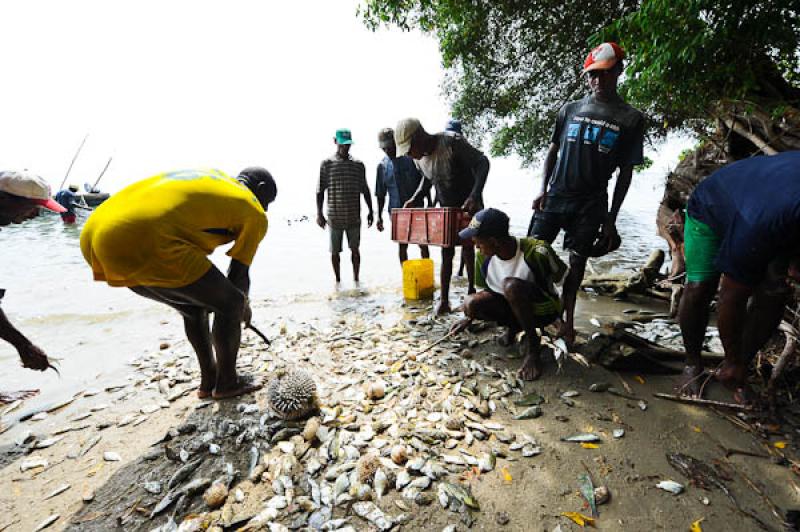 Pescadores en San Onofre, Sucre, Sincelejo, Colomb...