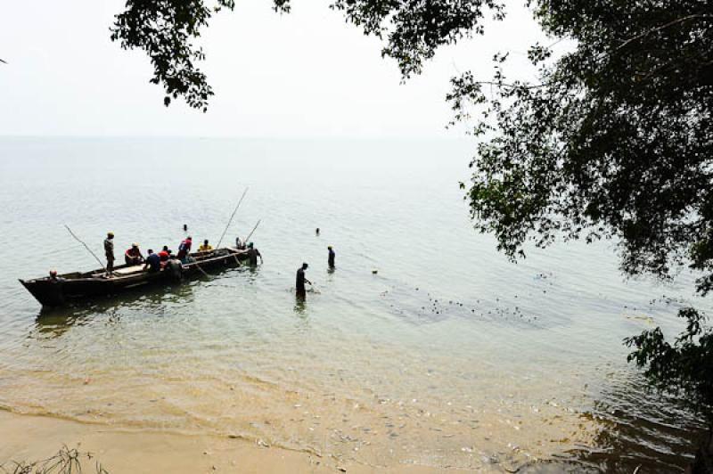 Pescadores en San Onofre, Sucre, Sincelejo, Colomb...