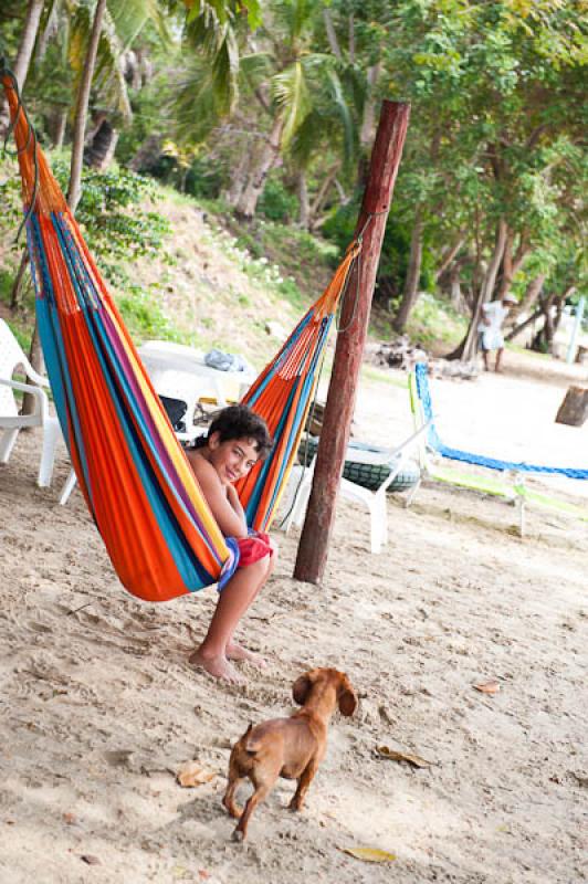 NiÃ±o con su Mascota