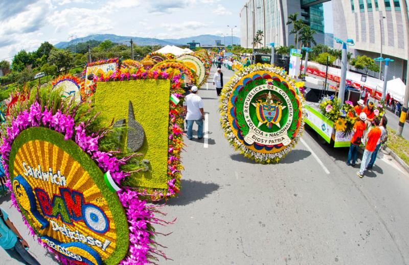 Commercial Saddle, Silleteros Parade, Flower Fair,...