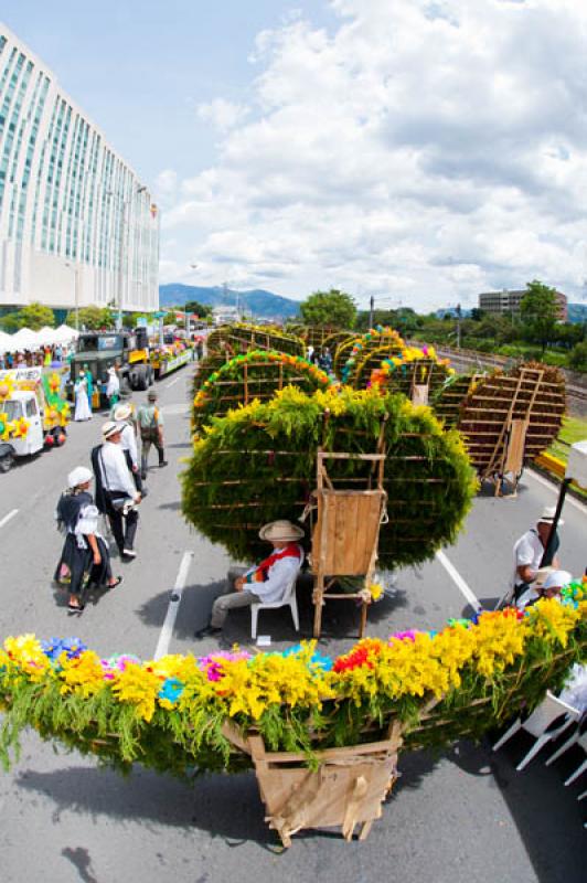 Desfile de Silleteros, Feria de las Flores, Medell...