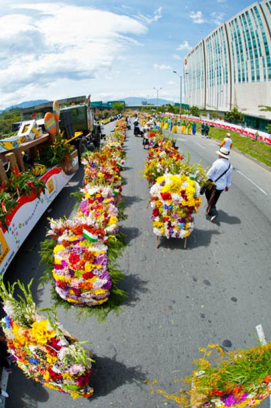 Desfile de Silleteros, Feria de las Flores, Medell...