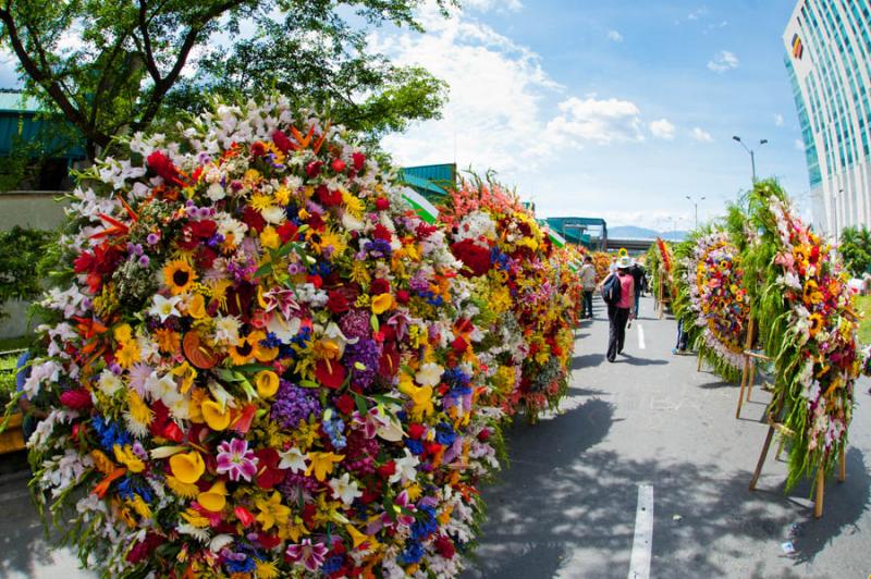 Desfile de Silleteros, Feria de las Flores, Medell...