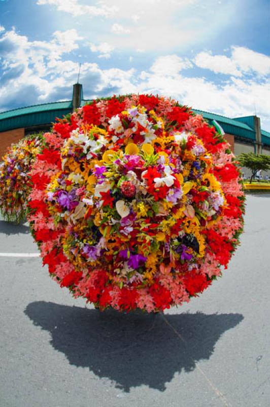 Desfile de Silleteros, Feria de las Flores, Medell...