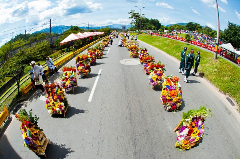 Desfile de Silleteros, Feria de las Flores, Medell...