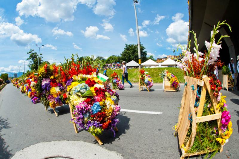 Desfile de Silleteros, Feria de las Flores, Medell...