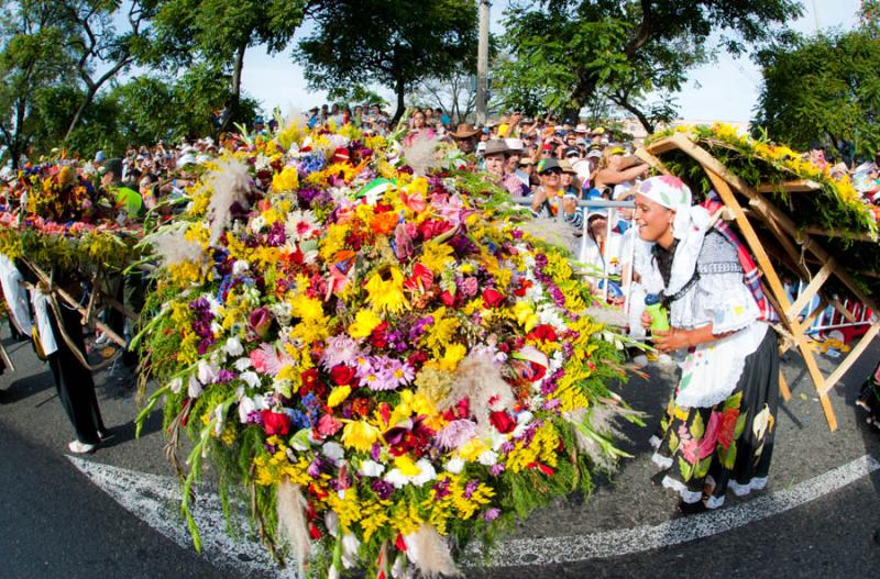 Desfile de Silleteros, Feria de las Flores, Medell...