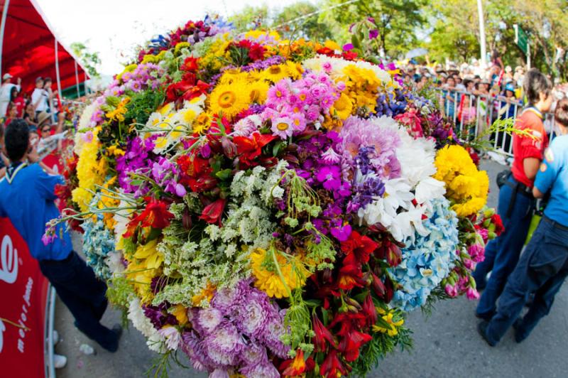 Desfile de Silleteros, Feria de las Flores, Medell...