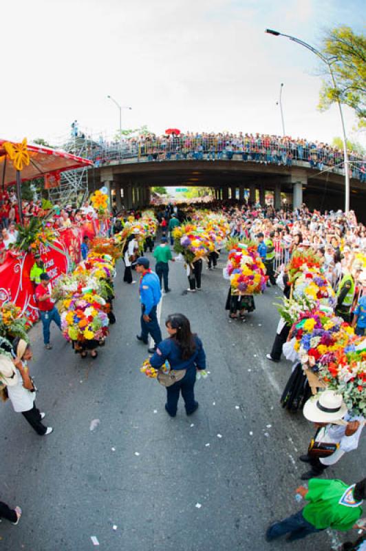 Desfile de Silleteros, Feria de las Flores, Medell...