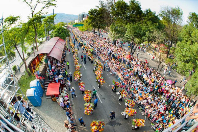 Desfile de Silleteros, Feria de las Flores, Medell...