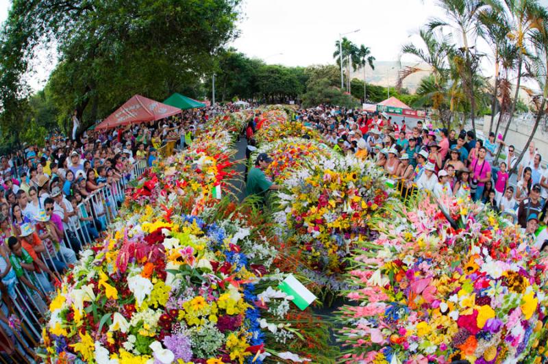 Desfile de Silleteros, Feria de las Flores, Medell...