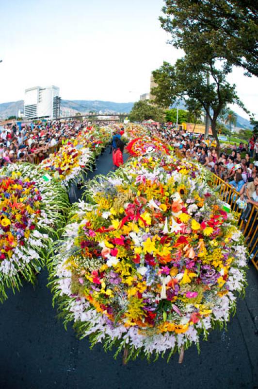 Desfile de Silleteros, Feria de las Flores, Medell...