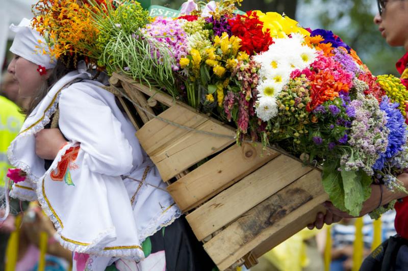 Desfile de Silleteros, Feria de las Flores, Medell...