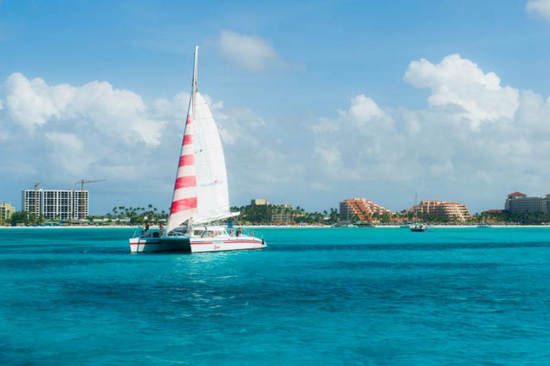 Atobus Kukoo Kunuku, Aruba, Oranjestad, Antillas M...