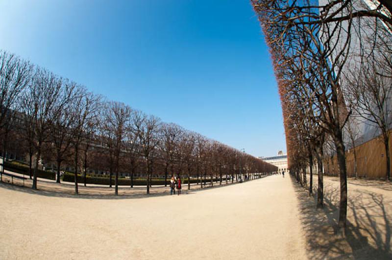 Jardines del Palacio Real, Paris, Francia, Europa ...