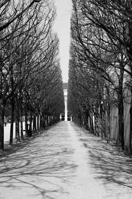 Jardines del Palacio Real, Paris, Francia, Europa ...