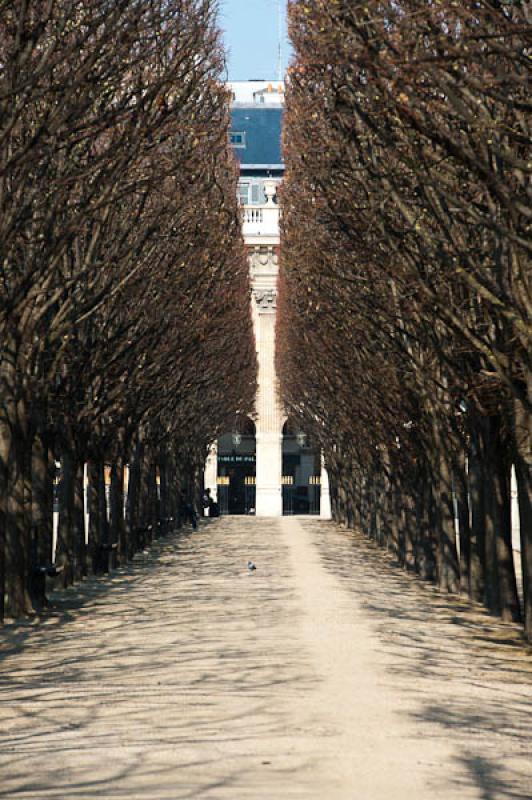 Jardines del Palacio Real, Paris, Francia, Europa ...