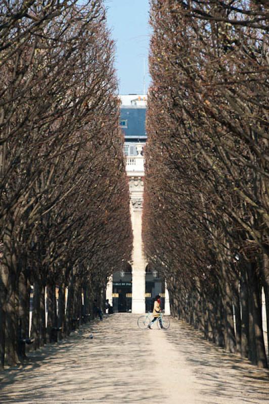 Jardines del Palacio Real, Paris, Francia, Europa ...