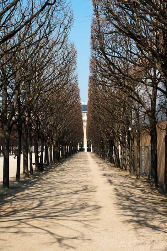 Jardines del Palacio Real, Paris, Francia, Europa ...