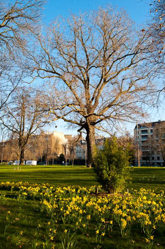 Ciudad de Paris, Francia, Europa Occidental