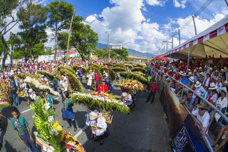 Desfile de Silleteros, Feria de las Flores, Medell...