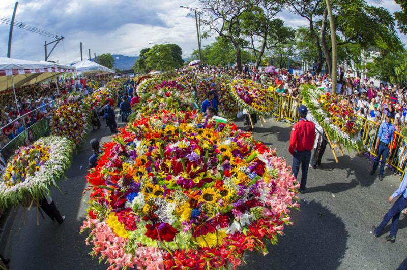 Desfile de Silleteros, Feria de las Flores, Medell...