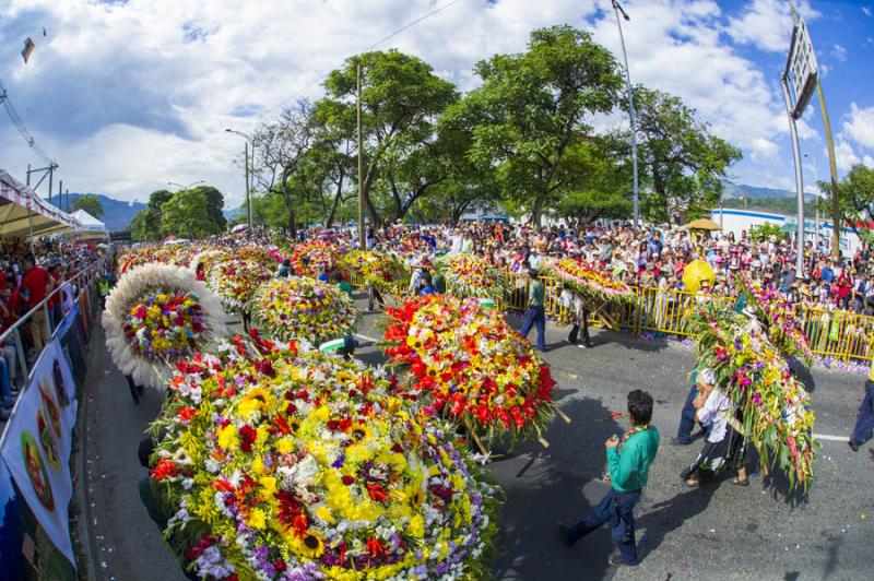 Desfile de Silleteros, Feria de las Flores, Medell...