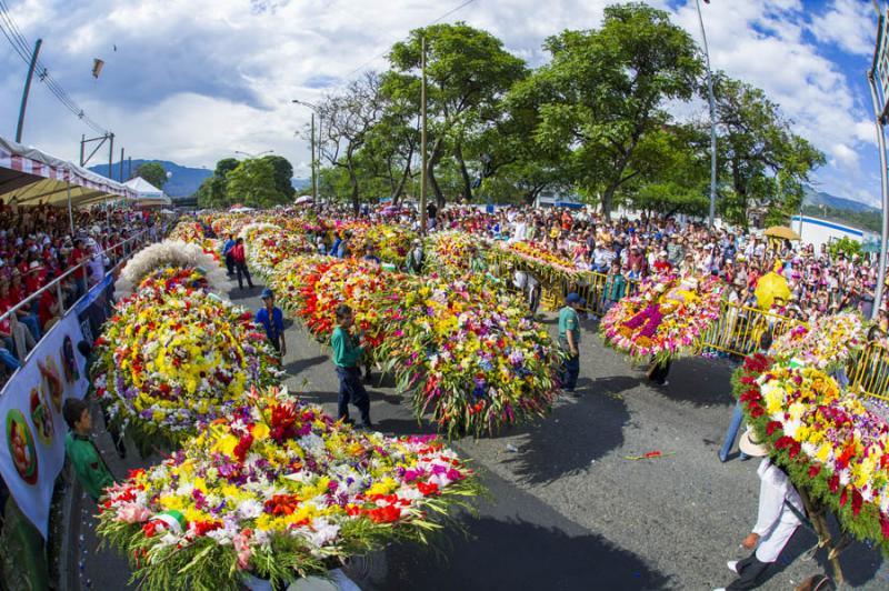 Desfile de Silleteros, Feria de las Flores, Medell...