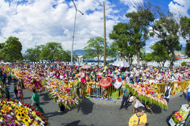 Desfile de Silleteros, Feria de las Flores, Medell...