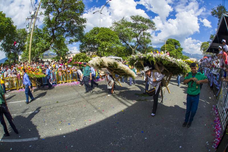 Desfile de Silleteros, Feria de las Flores, Medell...