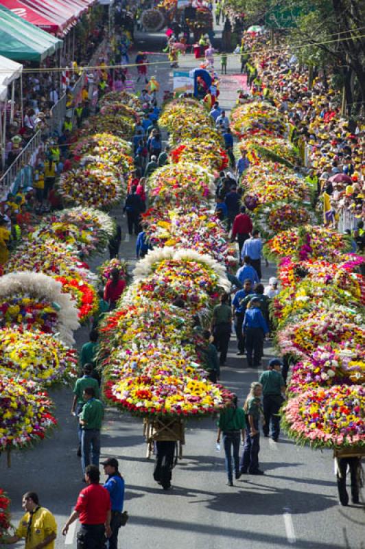 Desfile de Silleteros, Feria de las Flores, Medell...