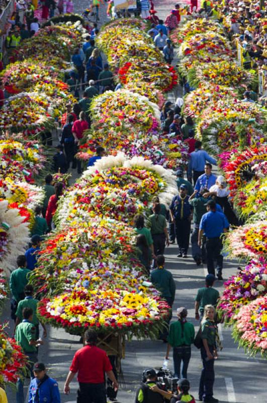 Desfile de Silleteros, Feria de las Flores, Medell...