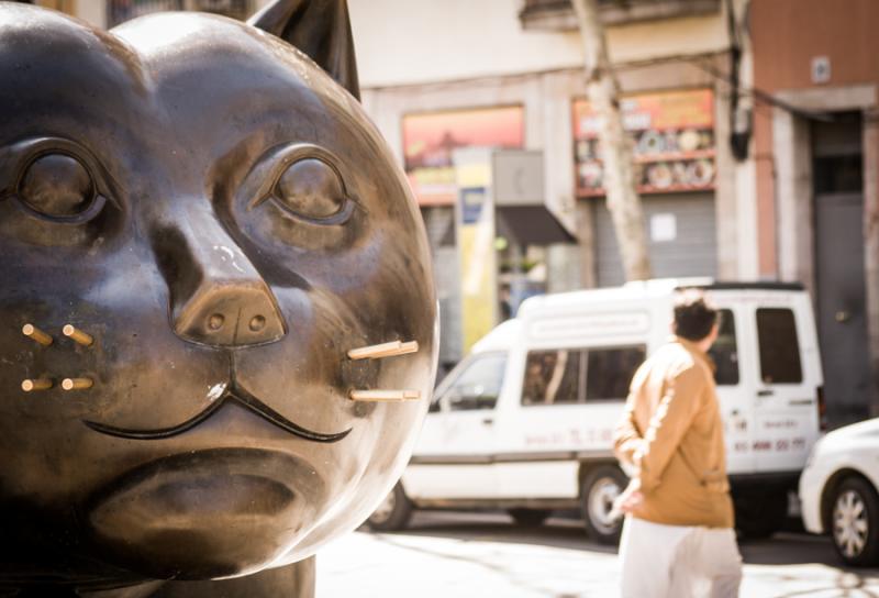 El Gato de Raval, Ciutat Vella, Barcelona,Cataluñ...