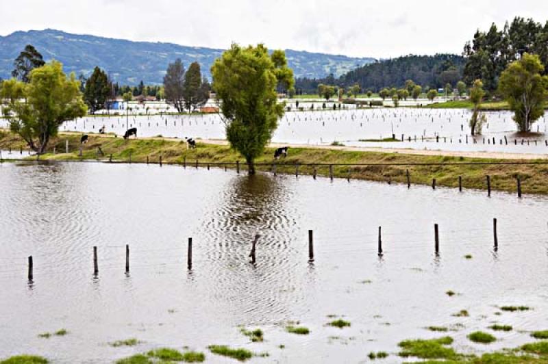 Ola Invernal, Sabana de Bogota, Bogota, Cundinamar...