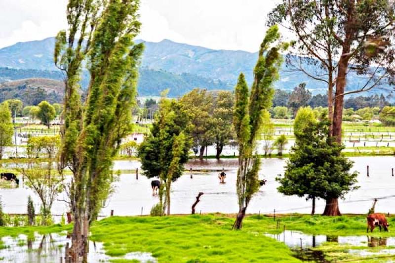 Ola Invernal, Sabana de Bogota, Bogota, Cundinamar...