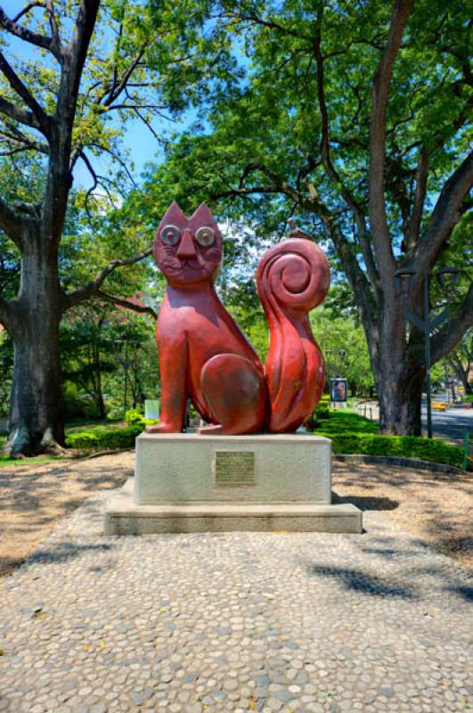 El Gato del Rio, Santiago de Cali, Cali, Valle del...