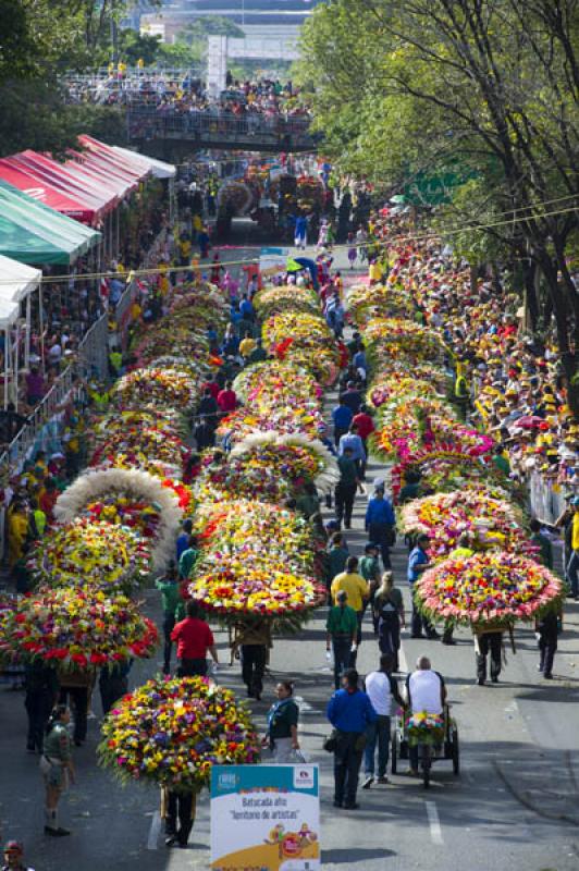 Desfile de Silleteros, Feria de las Flores, Medell...