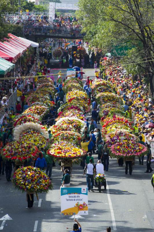 Desfile de Silleteros, Feria de las Flores, Medell...