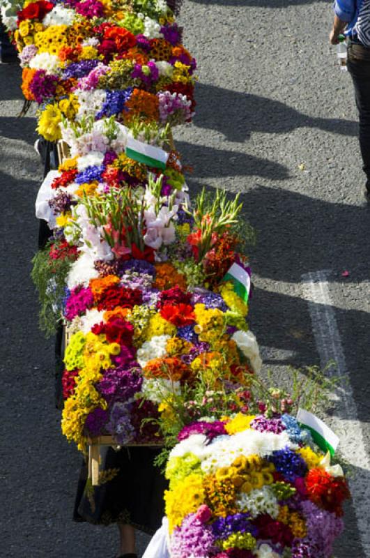 Desfile de Silleteros, Feria de las Flores, Medell...