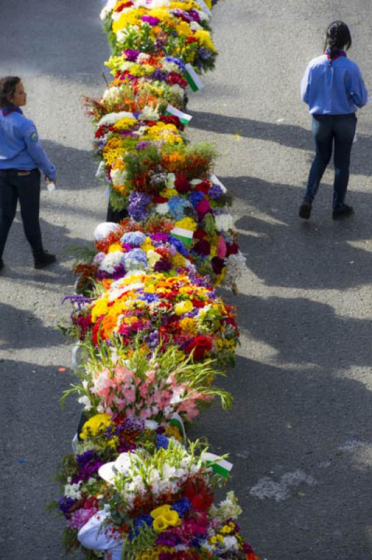 Desfile de Silleteros, Feria de las Flores, Medell...