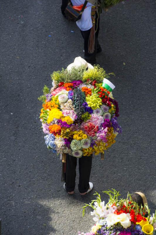 Desfile de Silleteros, Feria de las Flores, Medell...