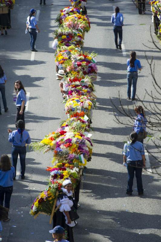 Desfile de Silleteros, Feria de las Flores, Medell...