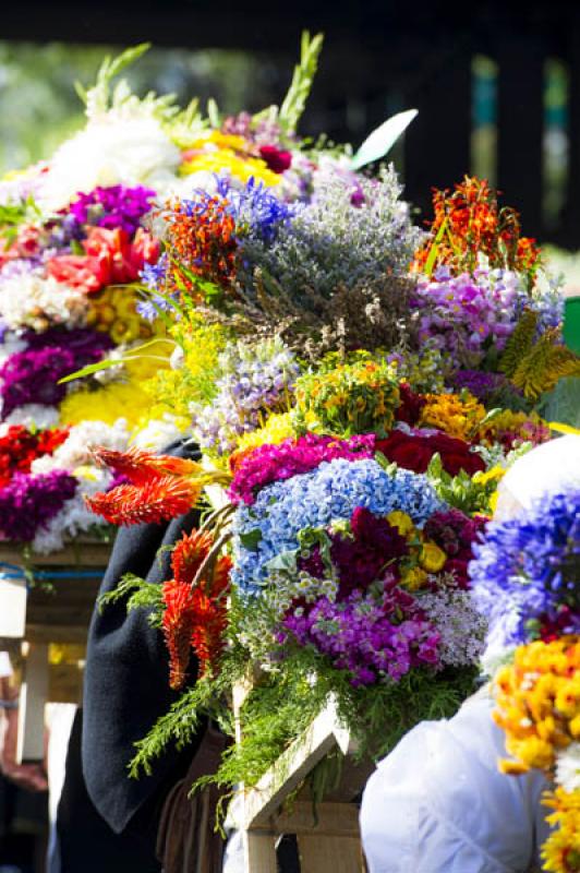 Desfile de Silleteros, Feria de las Flores, Medell...