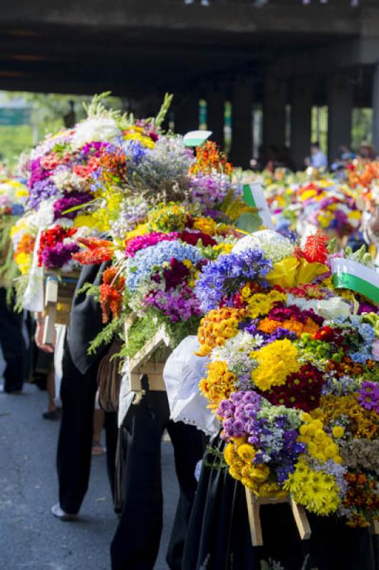 Desfile de Silleteros, Feria de las Flores, Medell...