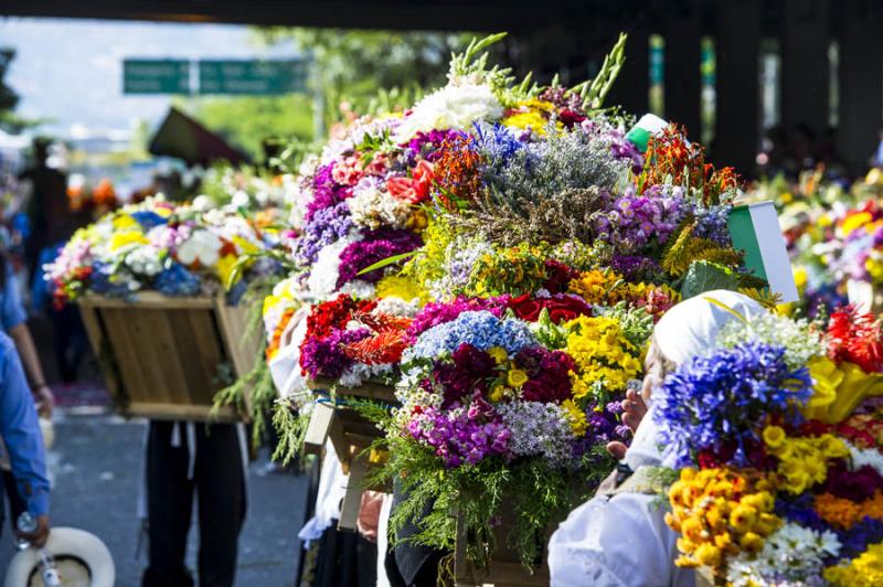 Desfile de Silleteros, Feria de las Flores, Medell...