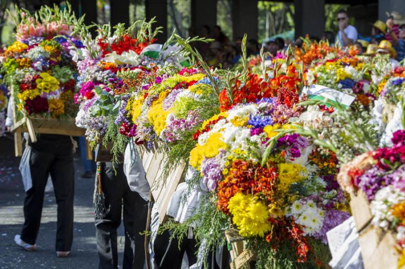 Desfile de Silleteros, Feria de las Flores, Medell...