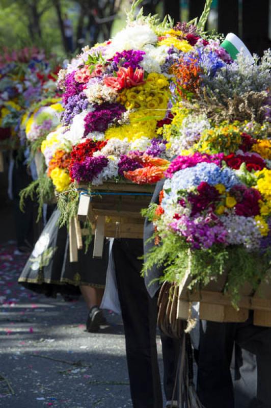 Desfile de Silleteros, Feria de las Flores, Medell...