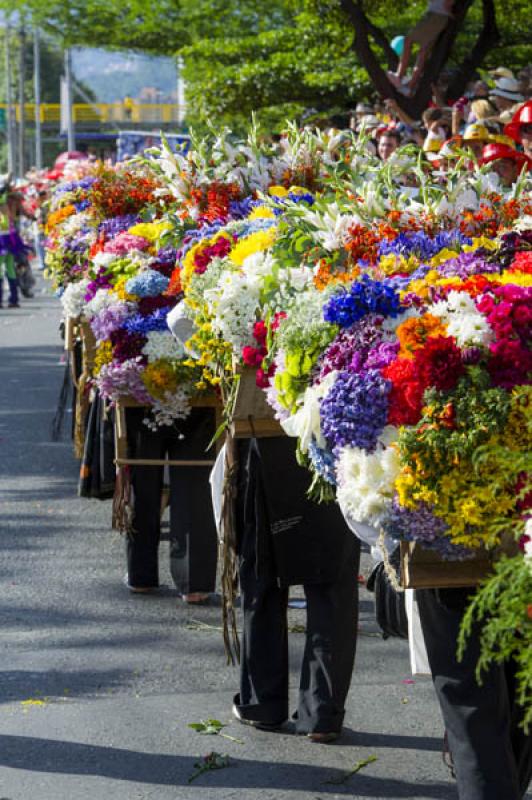 Desfile de Silleteros, Feria de las Flores, Medell...